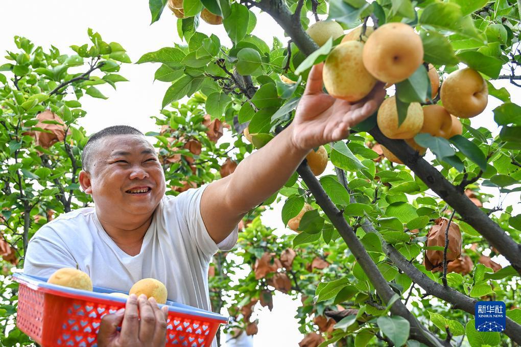 fun游戏平台账号注册
